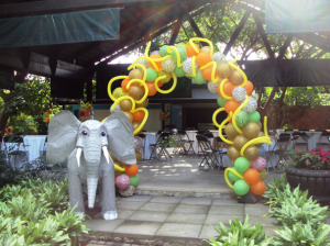 Explora Salon de eventos Fotos y Video Triplepar 002